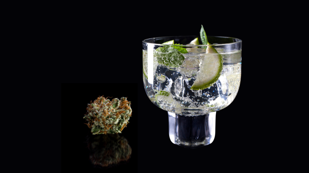 Try These Refreshing Drink Recipes Made From Cannabis Seltzers