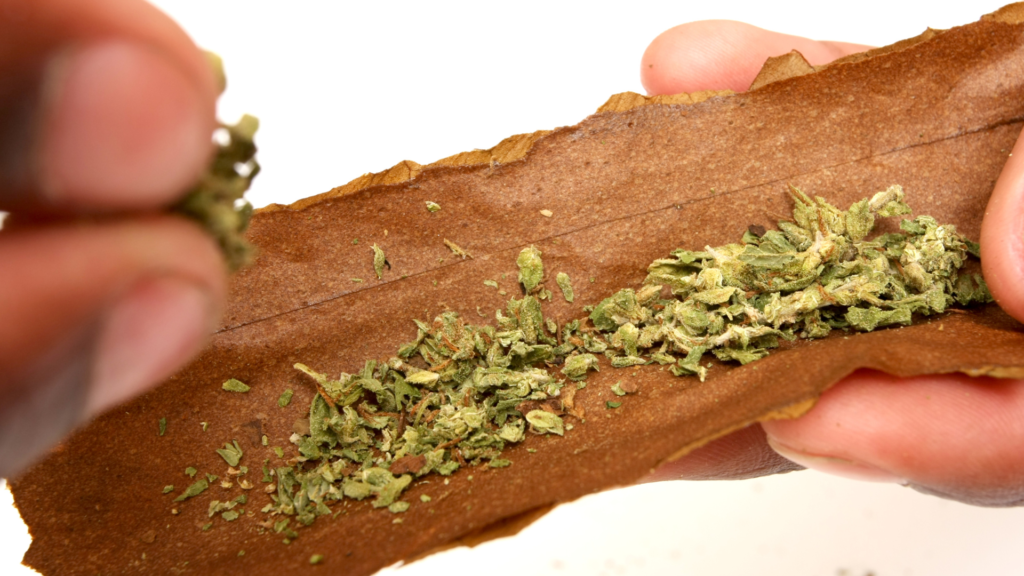how to roll a blunt like a pro